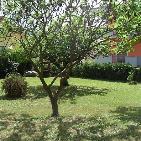 פינטו Pier Delle Vigne B&B מראה חיצוני תמונה