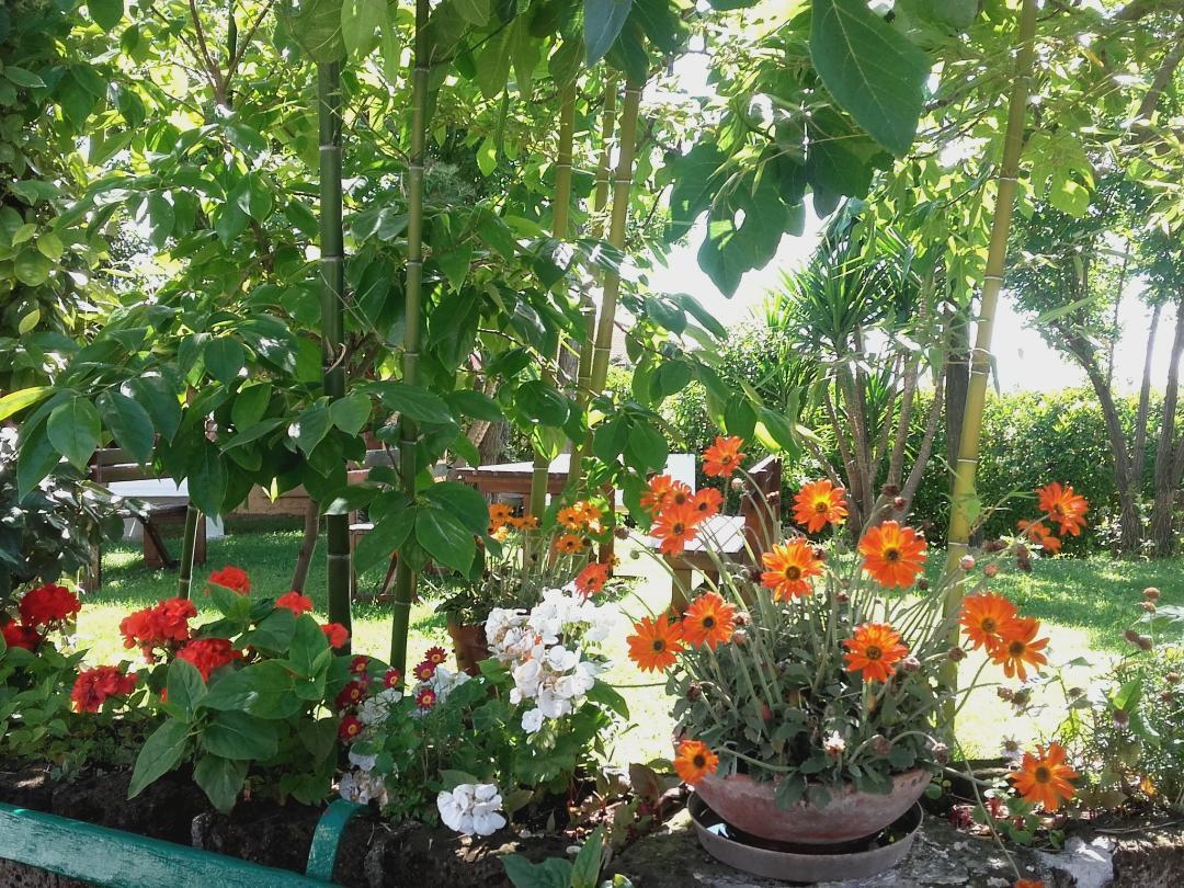 פינטו Pier Delle Vigne B&B מראה חיצוני תמונה
