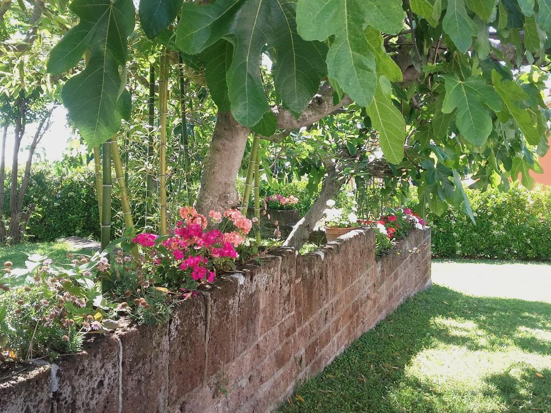 פינטו Pier Delle Vigne B&B מראה חיצוני תמונה