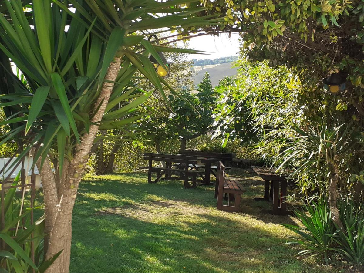 פינטו Pier Delle Vigne B&B מראה חיצוני תמונה