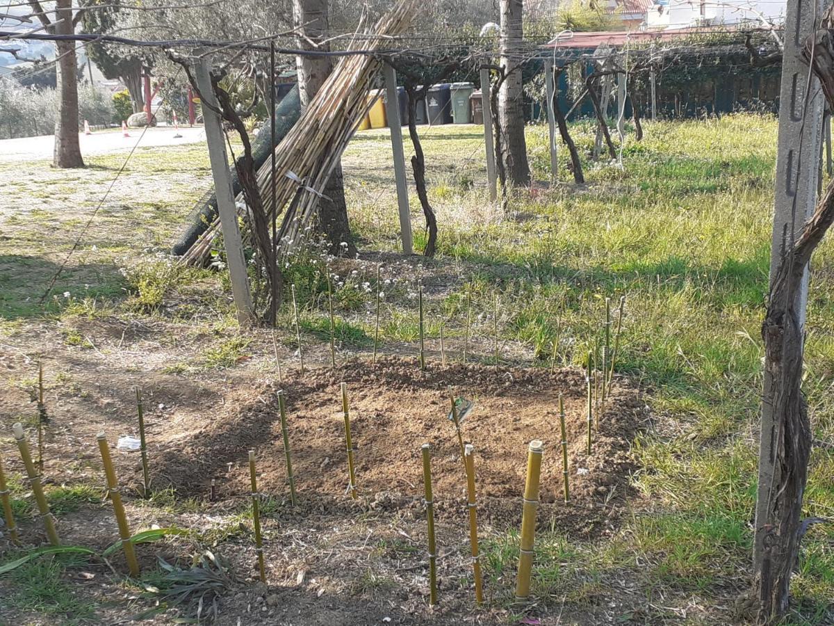פינטו Pier Delle Vigne B&B מראה חיצוני תמונה