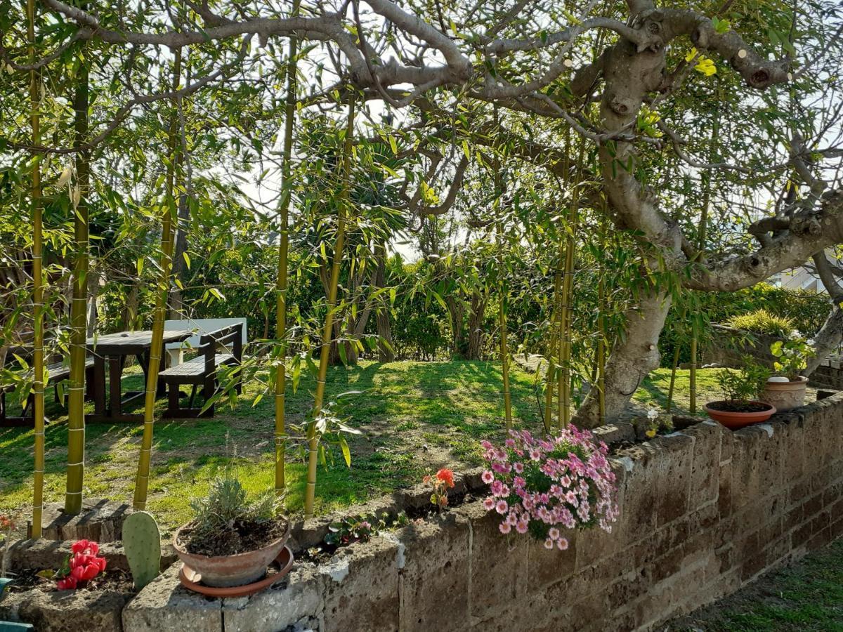 פינטו Pier Delle Vigne B&B מראה חיצוני תמונה