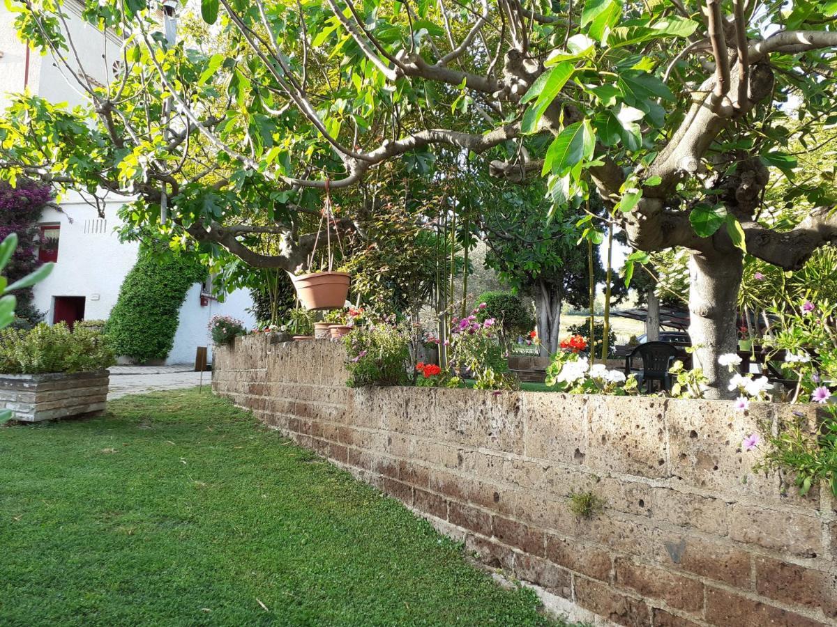 פינטו Pier Delle Vigne B&B מראה חיצוני תמונה