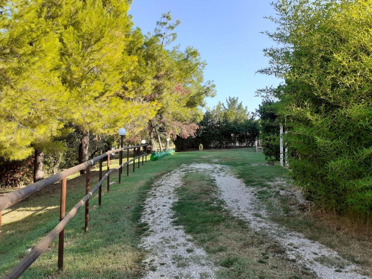פינטו Pier Delle Vigne B&B מראה חיצוני תמונה
